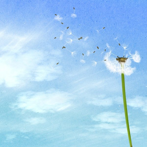 background-1135056_1280